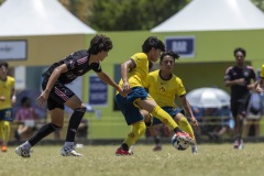 062825-Finales-CAMPO7-y-8-875