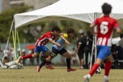 062825-SEMIS-CAMPO-6-Y-7-765